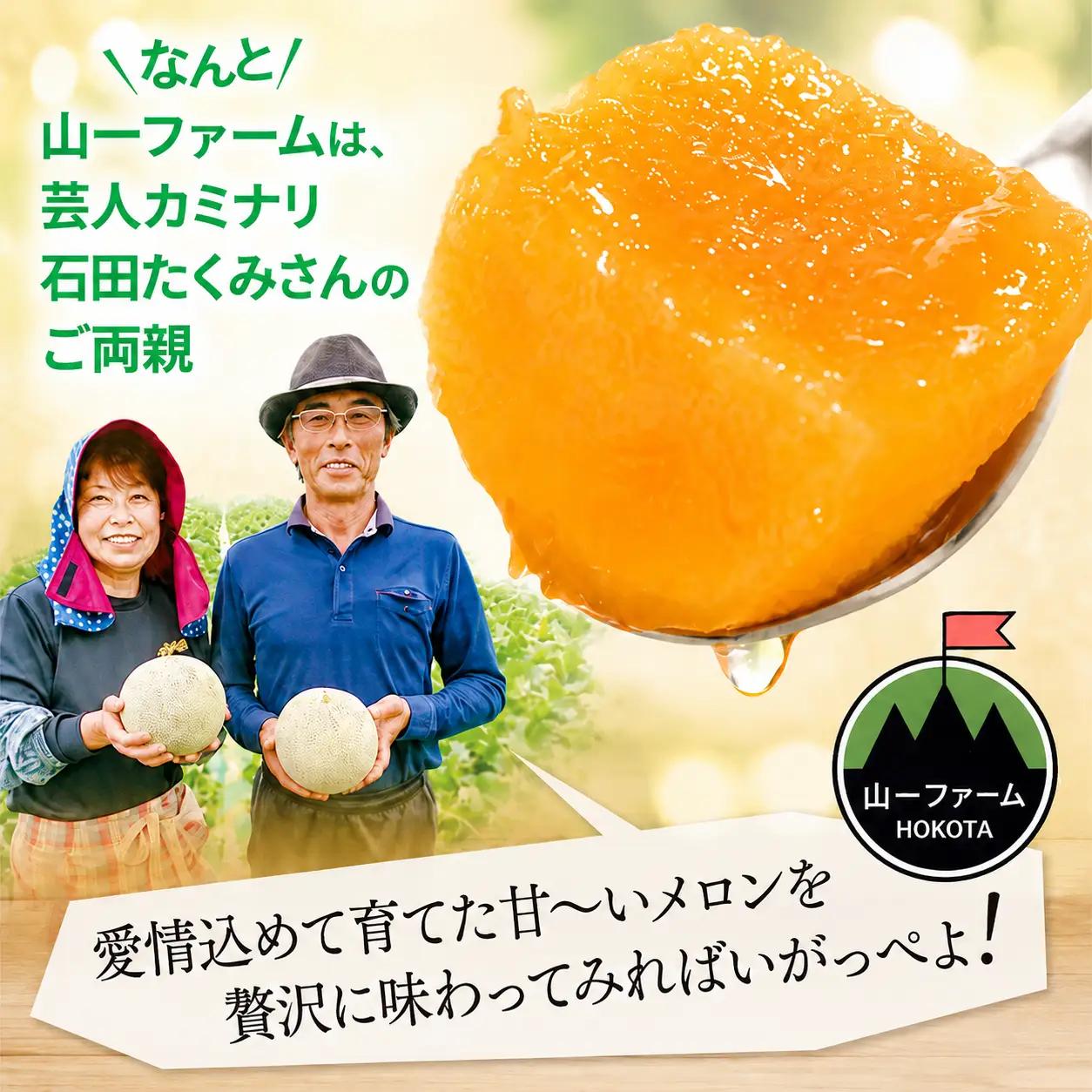【2027年先行予約】 クインシーメロン 2玉 計3kg以上 赤肉メロン