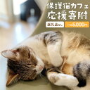 【ふるさと納税】5-998 保護猫カフェへの寄附 【お礼品の発送はございません】一口5,000円