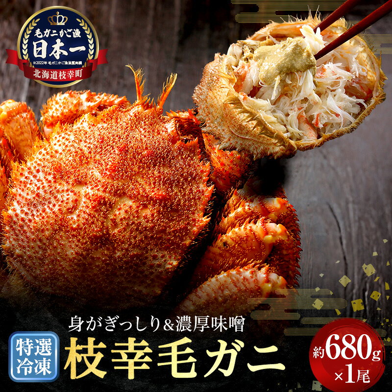 【ふるさと納税】【漁獲量日本一】至福の逸品！特選冷凍「枝幸毛がに」約680g×1尾 毛蟹 毛ガニ オホーツク 北海道加工食品 地域のお礼の品 カタログ 毛カニ