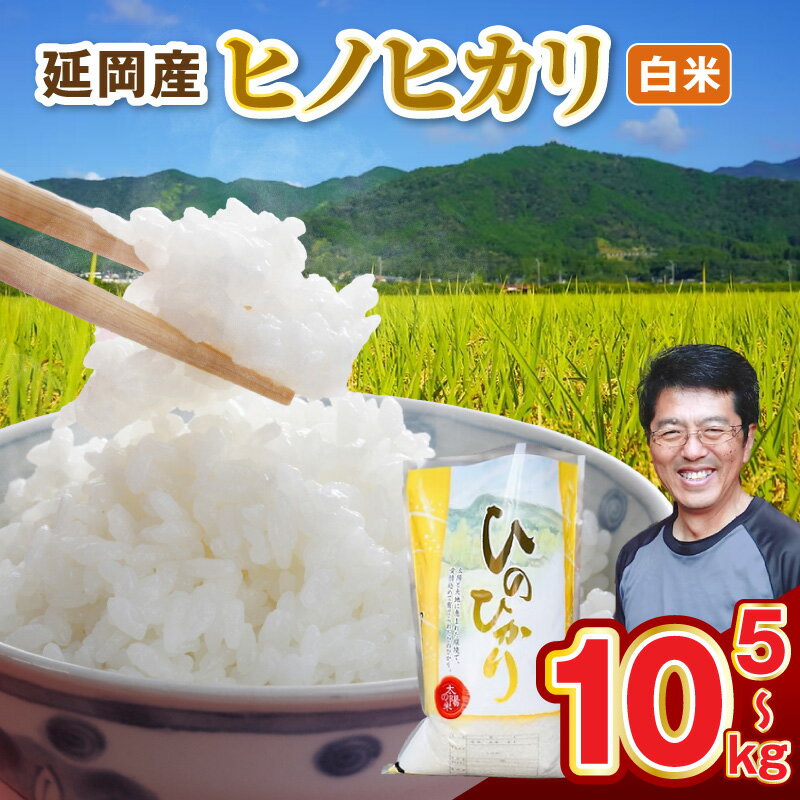 【ふるさと納税】延岡産 ヒノヒカリ 白米 選べる 5kg 10kg 延岡市産ヒノヒカリ 味 粘り 香り 九州地方 宮崎県産 定番 品種 お米 精米 九州 宮崎 ご飯 おにぎり お弁当 国産 お取り寄せ お取り寄せグルメ 宮崎県 延岡市 送料無料
