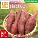 【ふるさと納税】【10月中旬～11月末までの発送品！】【自然栽培】紅はるか 生さつまいも(8kg+約25%補償分)　計 約10kg【サツマイモ 芋 いも べにはるか 自然栽培 新鮮 オーガニック 焼き芋 煮物 天ぷら スイートポテト 鹿嶋市 茨城県 】（KAG-40）