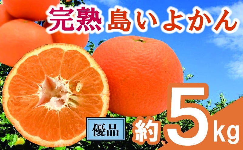 
            【先行予約】 完熟島いよかん 家庭用(優品) 約5kg | いよかん 伊予柑 柑橘 みかん 蜜柑 mikan 檸檬 オレンジ おれんじ かんきつ 【2026年2月上旬頃から発送予定】 愛媛県 松山市 ココオ Koko'o 
          