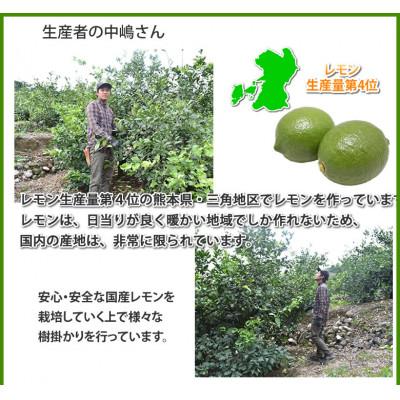 ふるさと納税 宇城市 レモン 4kg【2026年9月下旬から2026年12月下旬発送予定】(宇城市) |  | 01