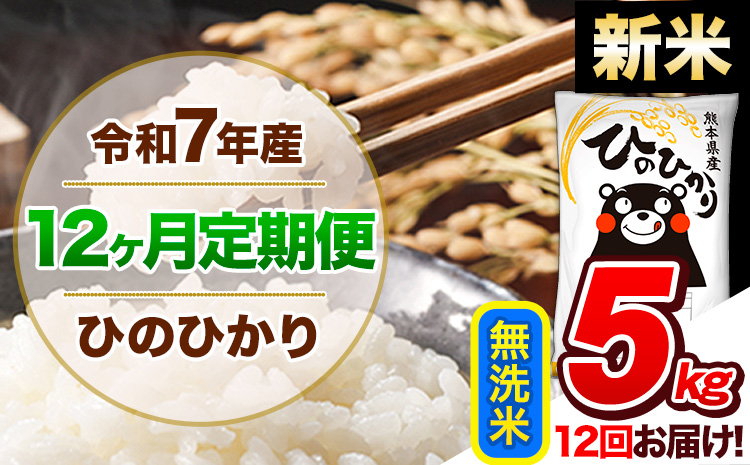 【12ヶ月定期便】新米 令和7年産 定期便 無洗米 ひのひかり 5kg 《11月上旬頃から出荷》令和6年産 熊本県産 ふるさと納税 精米 ひの 米 こめ ふるさとのうぜい ヒノヒカリ コメ 熊本米 ひのもり