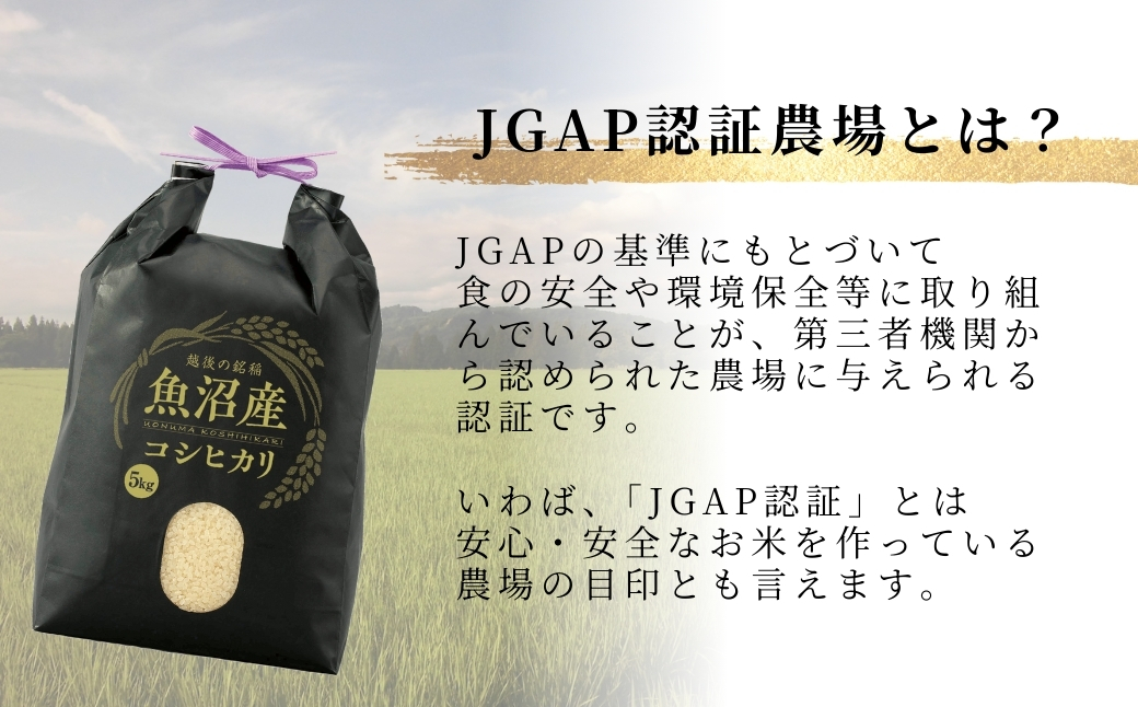 【JGAP認証農場】令和7年産 魚沼産コシヒカリ 特別栽培米「伊乎乃」 精米3kg うちがまき絆 | 新潟県産 コシヒカリ お米 米 おこめ こめ コメ こしひかり 白米 精米 魚沼産 ブランド米【0
