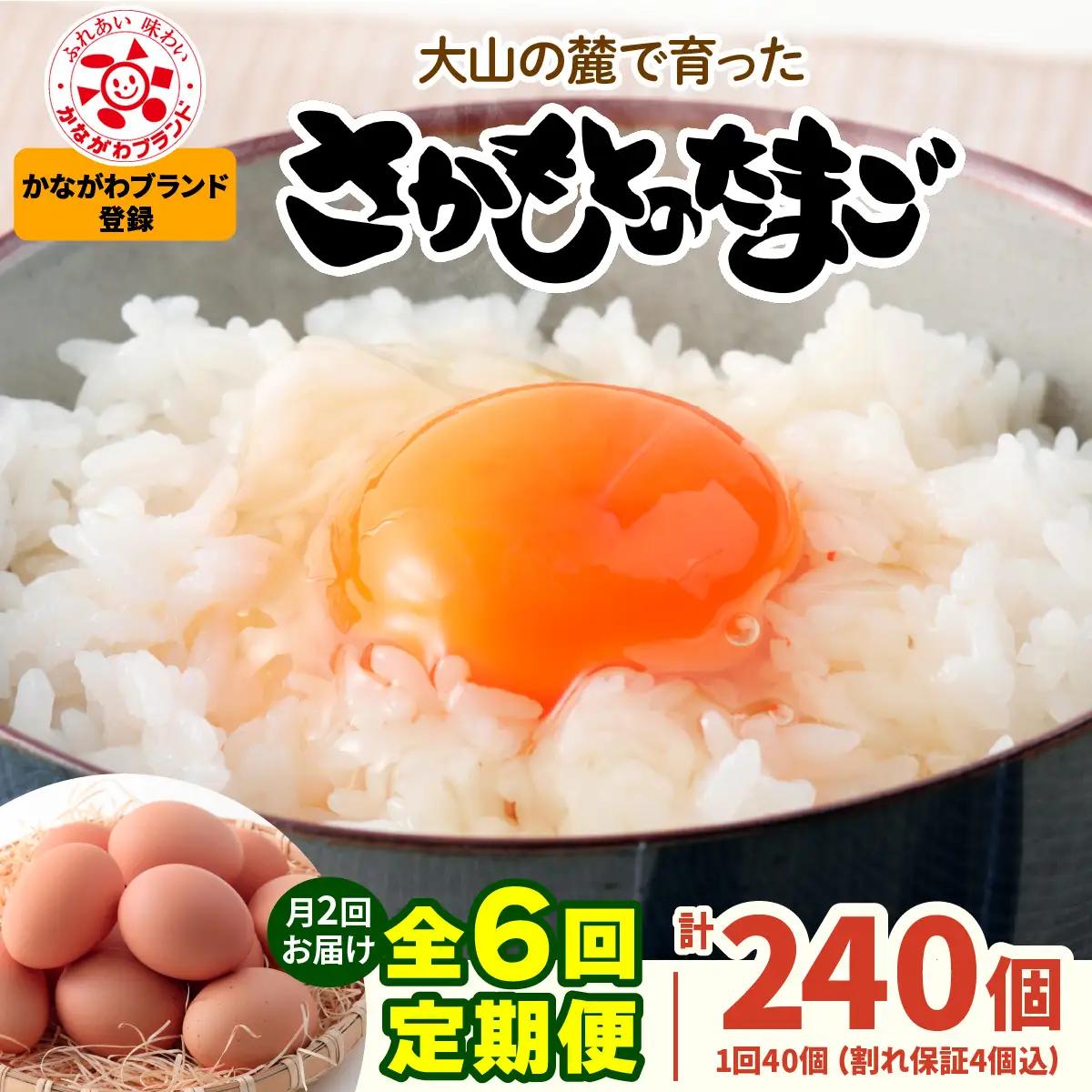 [定期便／3ヶ月×月2回 (全6回)] さかもとのたまご 40個 (36個＋割れ保証4個) 合計240個 [1471]