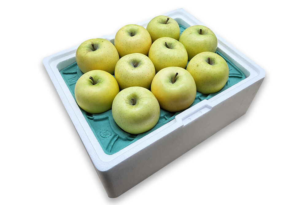 【27年1月発送】りんご シナノゴールド【良品】約3kg キタエアップル 青森県 弘前市 [先行予約 シナノゴールド りんご 贈り物 アップル おいしい 果実 果物 黄色 美味 林檎]