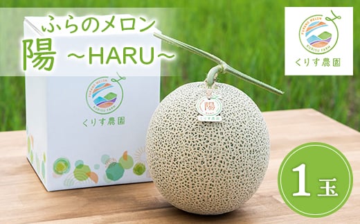 
            ＜2026年発送＞ふらのメロン「陽 ～HARU～」大玉(2.3kg以上)×1玉　(赤肉)富良野メロン【1478649】
          