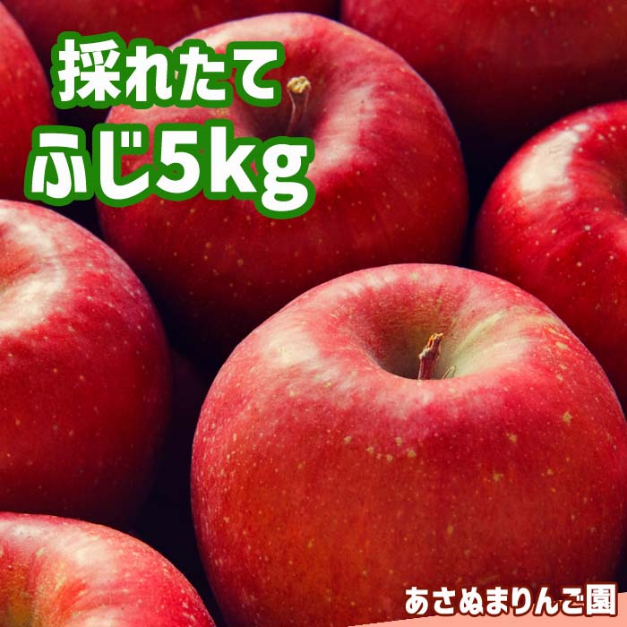 【ふるさと納税】【令和7年度】 数量限定 リンゴ ふじ 5kg おすすめ ／ 5キロ 林檎 りんご 果物 フルーツ 旬 くだもの 美味しい シャキシャキ 甘い グルメ おすすめ 農家直送 ぱりぱり 赤 フジ 赤い あさぬまリンゴ園 国産 岩手県産 雫石町 産地直送 送料無料