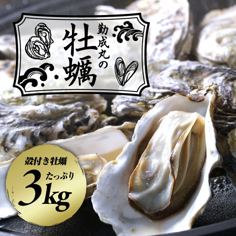 【ふるさと納税】【先行予約】勤成丸の牡蠣 殻付き牡蠣 3.0kg【2025年12月中旬以降順次発送予定】 【 魚介類 生牡蠣 海鮮 海の幸 海のミルク 貝 殻付き生牡蠣 】