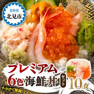 ふるさと納税 北見市 プレミアム6色 海鮮丼 10食セット 【ズワイガニ、ウニ、いくら、ホタテ、エビ、ホッキ】北見市加工