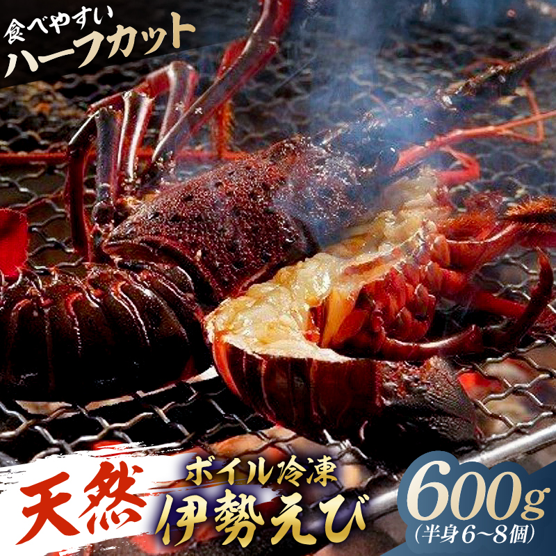 【天然】ボイル冷凍伊勢海老 ハーフカット600g（半身6～8個） mi0020-0013
