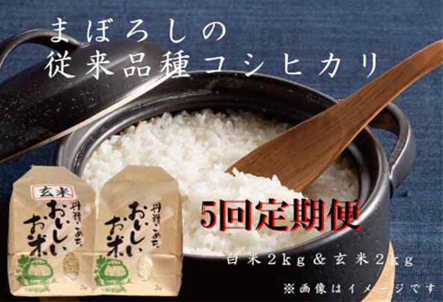 【令和6年産新米予約】【5回定期便】コシヒカリ 白米2kgと玄米2kg  旧笹神村産  9月下旬より順次発送予定  1Q08050