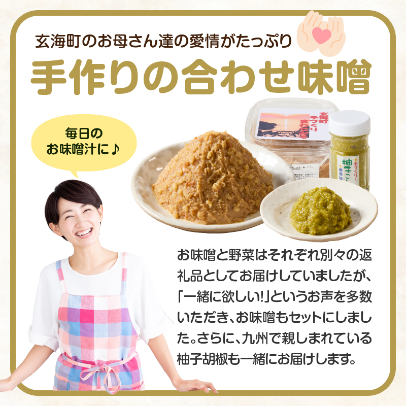 手作り合わせ味噌と新鮮野菜セット