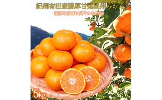 
                  【先行予約】紀州有田産 濃厚完熟 温州みかん 5kg ※2025年11月下旬頃～2026年1月下旬頃に順次発送予定 / みかん ミカン 蜜柑 温州みかん 柑橘 フルーツ 果物 くだもの 和歌山【uot006A】
                