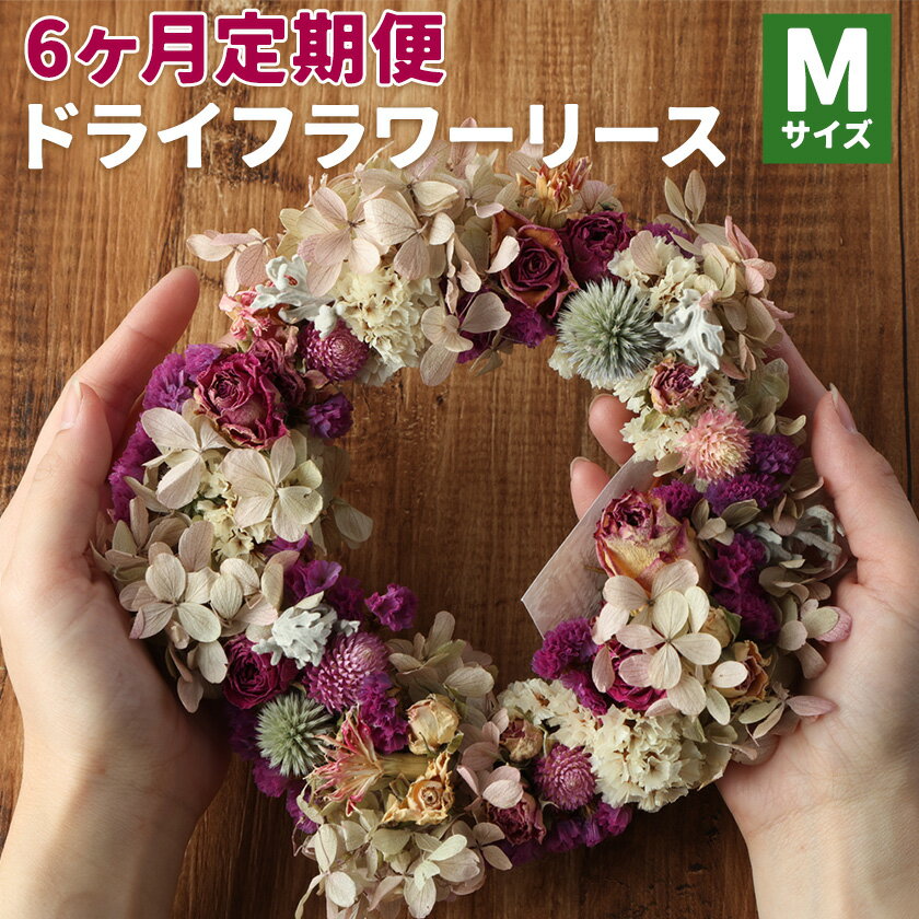 【ふるさと納税】【6ヶ月定期便】ドライフラワーリース Mサイズ ドライフラワー リース デザインおまかせ フラワーアレンジ インテリア 花 プレゼント ドライフラワー 合同会社クリール《お申込み月の翌月から発送予定》熊本県 菊池市 送料無料