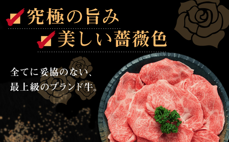 【全6回定期便】【日本一の和牛】長崎和牛 出島ばらいろ すき焼き用 特選 ロース肉 特盛700g 小分け 【合同会社　肉のマルシン】[RCI015]