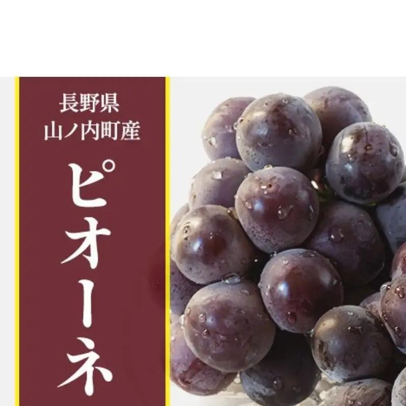 ぶどう 先行予約 ピオーネ 2房 1kg ぶどう