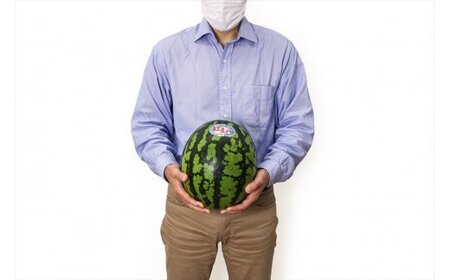 【先行予約】スイカ (中玉) 紅まくら1玉｜西瓜 [0962]