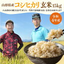 【ふるさと納税】[令和5年産] JA山形市の「コシヒカリ」 玄米 15kg FZ22-574 山形 お取り寄せ 送料無料