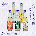 【ふるさと納税】 スパークリング 酒（ うめ ・ すだち ・ りんご ・ なし ・ ゆず）5種セット 250ml×各1本 スパークリングリキュール リキュール 瓶 梅 酢橘 林檎 梨 柚子 梅酒 柚子酒 アルコール 清酒 国産フルーツ 炭酸 飲み比べ 京都 与謝野町