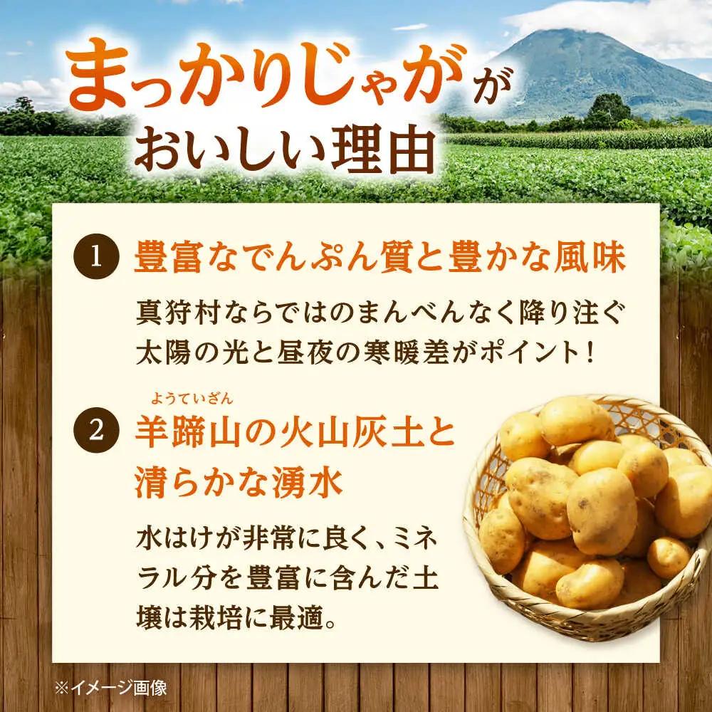 【先行予約】 じゃがいも キタアカリ 10kg [BPAM025] じゃがいも