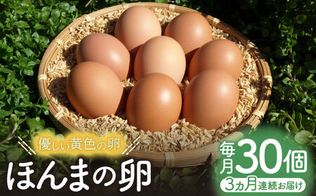 【全3回定期便】平飼いニワトリの有精卵！ほんまの卵定期便 計90個（30個×3回） / たまご 卵 平飼い / 佐賀県 / 本間農園[41AJAA020]