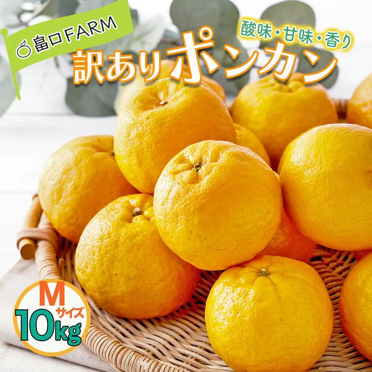 訳ありポンカン ＜10kg＞ 