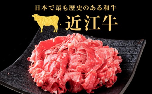  【定期便】近江牛 切り落とし 500g×12回｜近江牛 近江肉 山村 肉 牛肉 近江牛  国産 ブランド牛 日本三大和牛 切り落とし 切落し こま切れ すき焼き 肉じゃが バーベキュー アウトドア 