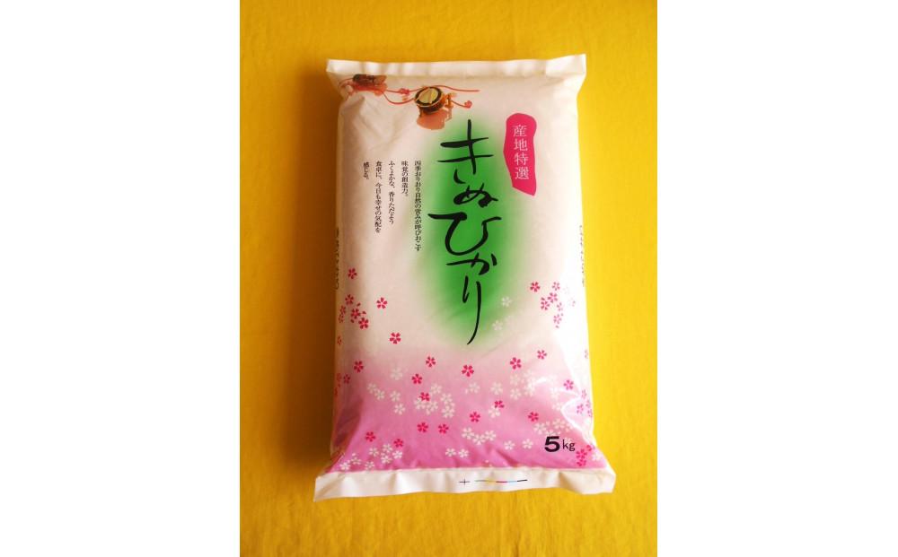 ［先行受付］和歌山県産キヌヒカリ 5kg（2025年産）［SL27］ 303446_CG90019