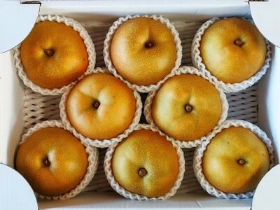 山形県産【樹上完熟】和梨（あきづき）３ｋｇ　ご家庭用　0140-2605