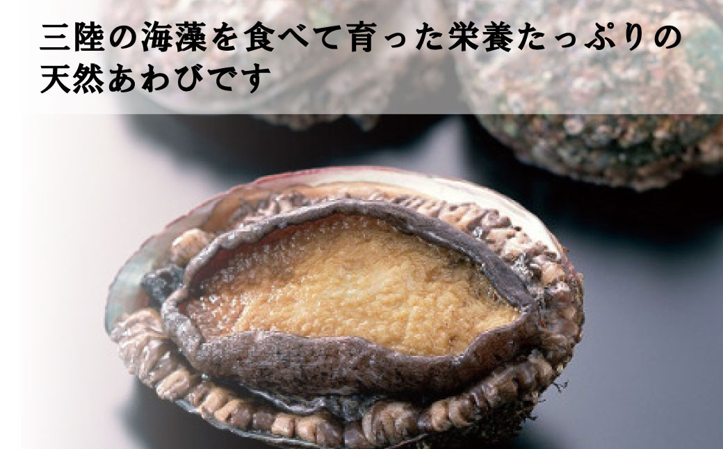 2025年11月からのアワビ漁の解禁とともに出荷スタートとなります