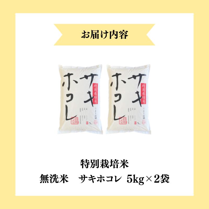 【令和7年産新米】【無洗米】特別栽培米サキホコレ5kg×2 米 コメ こめ 秋田県産 国産米