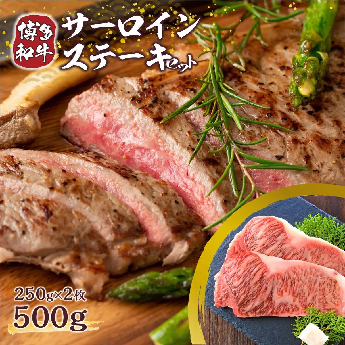 博多和牛 サーロイン ステーキ 250g 2枚 計500g [MEAT PLUS 福岡県 宇美町 um40azp010004]