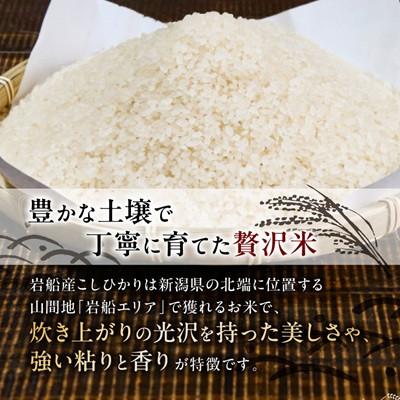 ふるさと納税 関川村 ふっくら食感!R7年産 関川村産コシヒカリ5kg(5kg×1) 丁寧に育てた精米 [山口ファーム] |  | 01