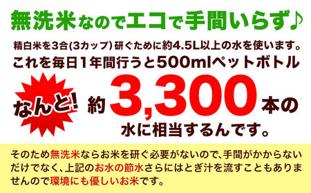 【12ヶ月定期便】熊本ふるさと無洗米 10kg《お申込み翌月から出荷》