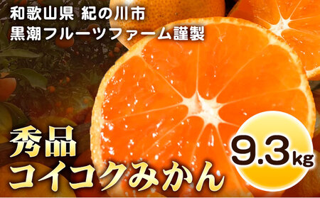 【秀品】 冬のみかん コイコク(恋い告) 9.3kg 黒潮フルーツファーム《11月下旬-12月下旬頃出荷》和歌山県 紀の川市 みかん ミカン 果物 フルーツ