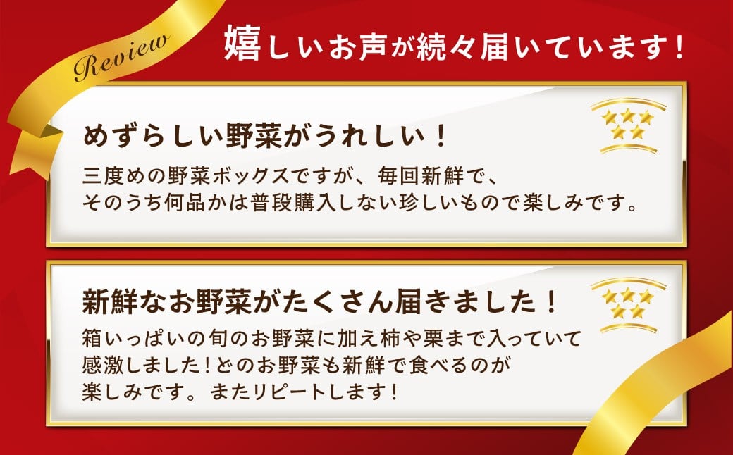 レビューにて高評価いただいてます！