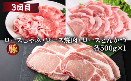 【定期便・全6回】宮崎牛・宮崎県産豚肉 6ヶ月定期便！6.9kg_K030-T002
