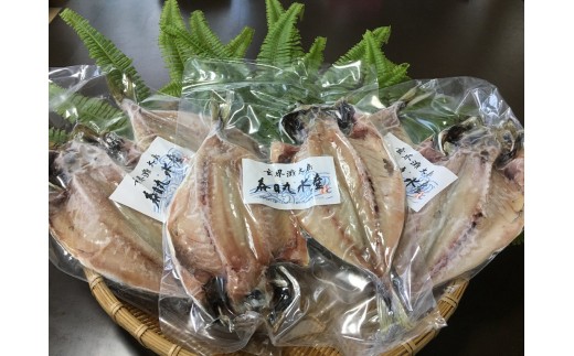 宗像大島で獲れた「鮮魚の干物」の詰め合わせセット【10～11枚】【JAほたるの里】_HA0264