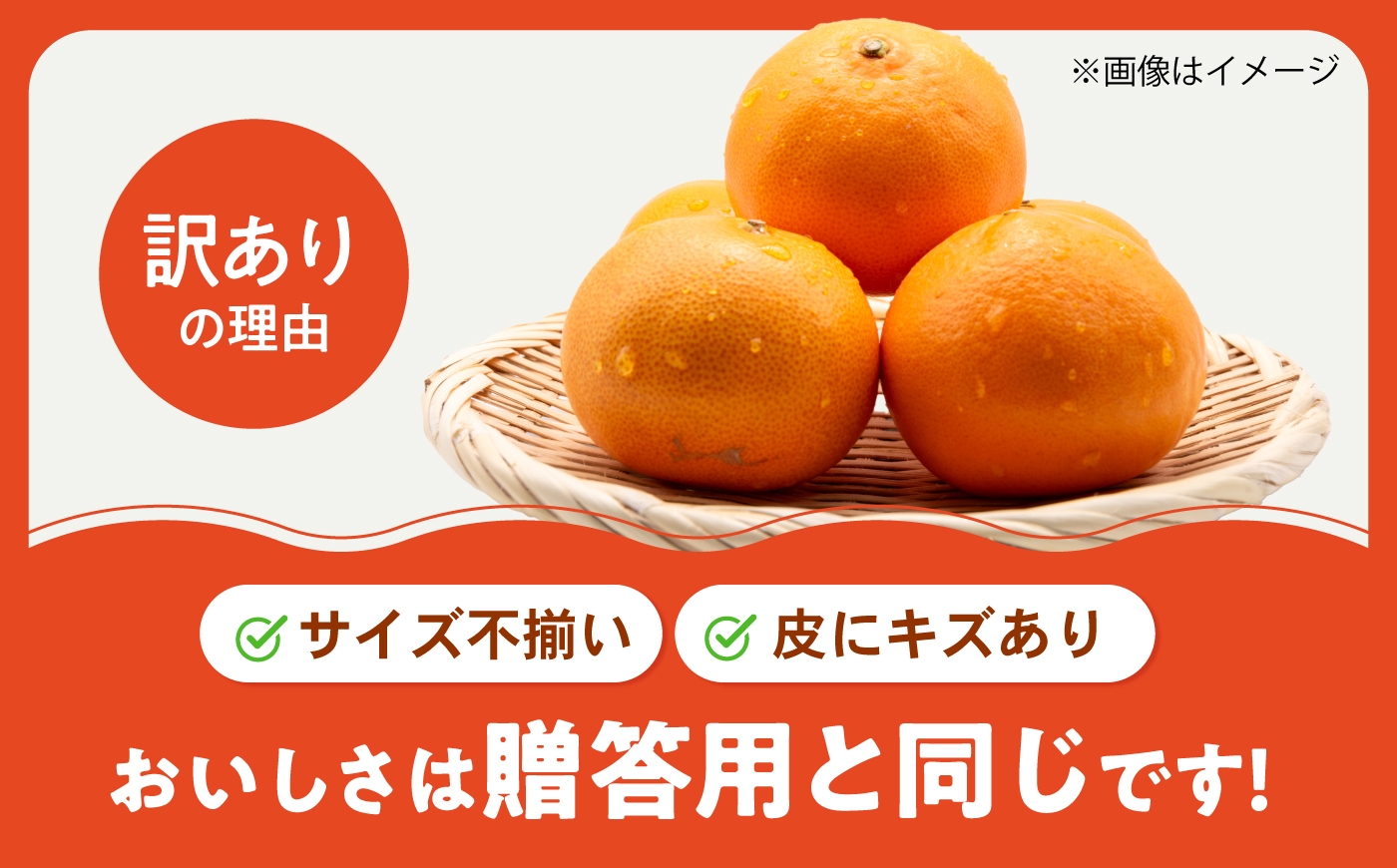柑橘 蜜柑 みかん ミカン せとか 訳あり 訳アリ 3kg 小玉 愛媛