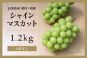 【ふるさと納税】【2025年-令和7年発送分☆先行予約☆】山梨県産 朝採り新鮮 シャインマスカット 1.2kg　 果物 ぶどう フルーツ デザート 食後 おやつ 旬の果物 旬のフルーツ 国産 　お届け：2025年9月中旬～10月上旬頃に順次発送予定