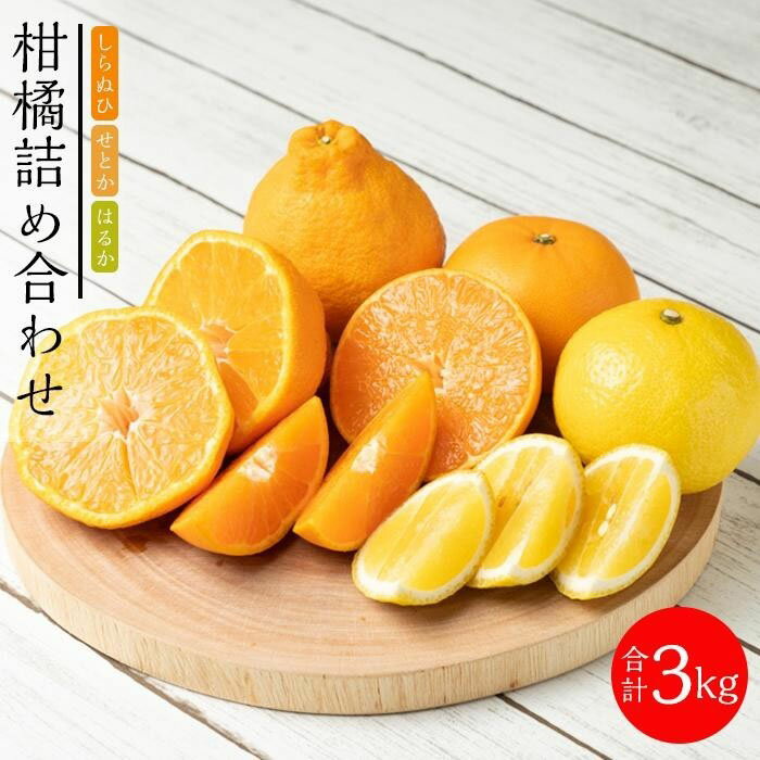 【ふるさと納税】旬の柑橘詰め合わせ（約3kg）2026年3月上旬〜発送予定 | みかん せとか しらぬい はるか 柑橘 果物 フルーツ 産地直送 送料無料 人気 おすすめ 瀬戸内 広島県 尾道市