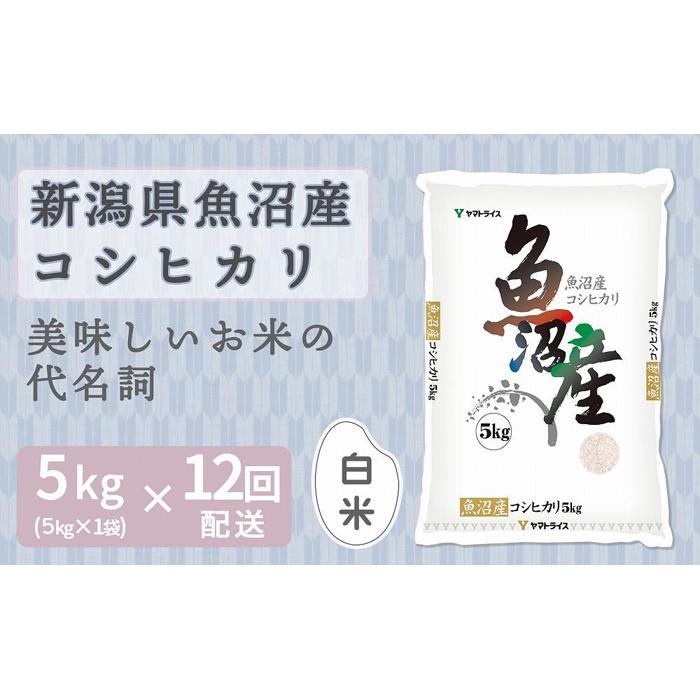 【ふるさと納税】【定期便全12回】新潟県魚沼産コシヒカリ5kg（受注の翌月から毎月配送）｜新潟県　新潟　魚沼　こしひかり　米　おこめ　お米 | お米 こめ 白米 食品 人気 おすすめ 送料無料