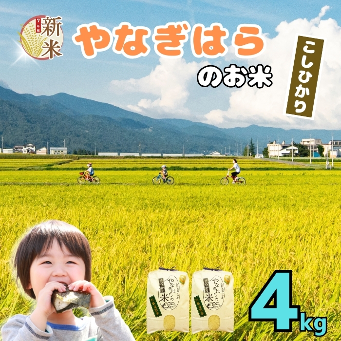 【先行予約】＜令和7年産新米＞特別栽培米 「やなぎはらの米 こしひかり」4kg(7-66)