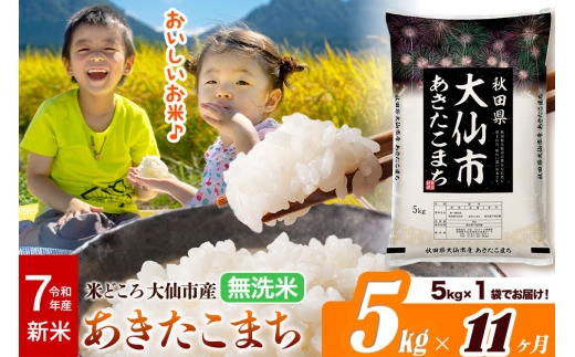新米 令和7年産《定期便11ヶ月》米【無洗米】米どころ秋田県大仙市産 あきたこまち5kg（5kg×1袋）
