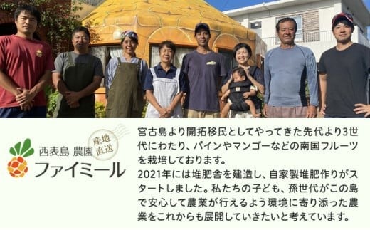 《2026年 先行予約》ピーチパイン 約5kg 5～8玉 農園ファイミール 完熟 果物 フルーツ