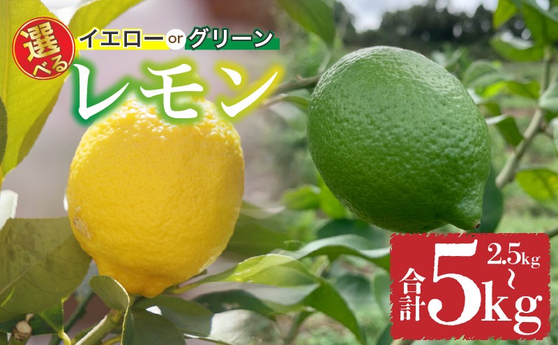 
            【先行予約】家庭用 レモン グリーン 【 9月から発送】 イエロー 【 2026年1月上旬から発送】2.5kg / 5.0kg ｜ 防腐剤 ワックス 不使用  訳あり レモン 檸檬 完熟 柑橘 レモン 酸味 国産 愛媛県産 訳あり 新鮮 愛媛 松山 国産レモン ノーワックス 訳ありレモン 松山市産れもん 家庭用檸檬 農家直送レモン 不揃いレモン 蓮果園のれもん
          
