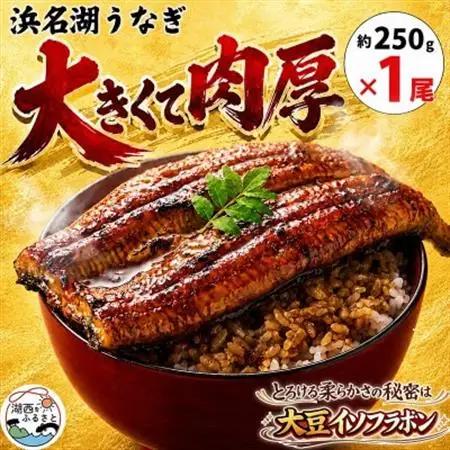 大豆イソフラボンで育てた浜名湖うなぎ蒲焼「やわら華」大きくて肉厚 (約250g×1尾)【配送不可地域：離島】【1729563】