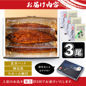 【E57004】＜定期便・計3回(連続)＞うなぎ蒲焼・大(有頭)(3尾・計480g以上×3回、タレ、山椒付)鹿児島 国産 鰻 うなぎ ウナギ 蒲焼き うな丼 うな重 ひつまぶし 土用の丑の日 真空パッ